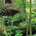 Bel Centre Les Roses 1 300 M