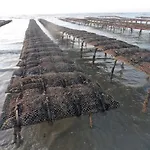 Bel Centre Les Roses 1 300 M Apartmán Veules-les-Roses