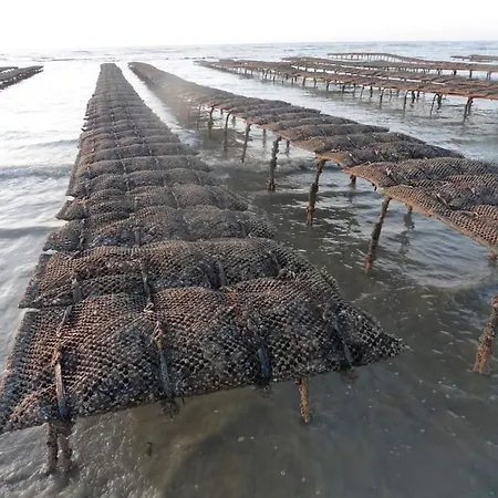 Bel Centre Les Roses 1 300 M Apartmán Veules-les-Roses